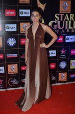 Anindita Nayar at Producers Guild Awards 2015 in Mumbai on 11th Jan 2015